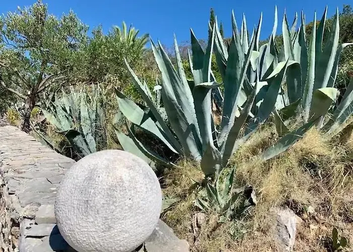 וילה Asteroidea - Tiha Mala סוטיבאן