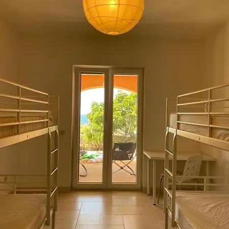 Asteroidea - Tiha Mala *