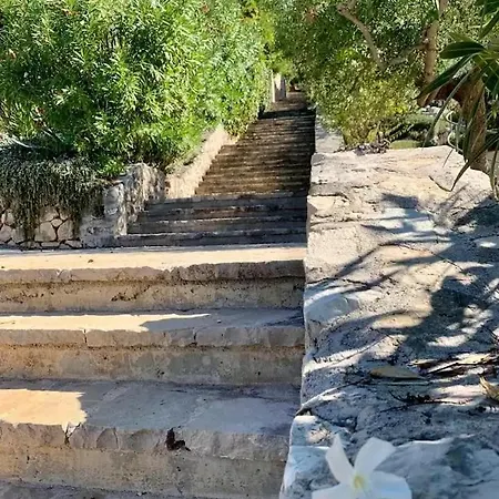 וילה Asteroidea - Tiha Mala