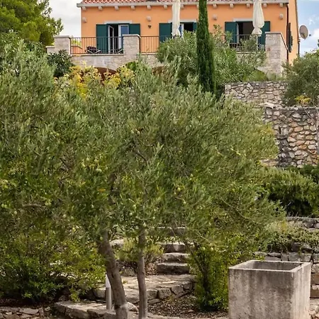 Asteroidea - Tiha Mala סוטיבאן