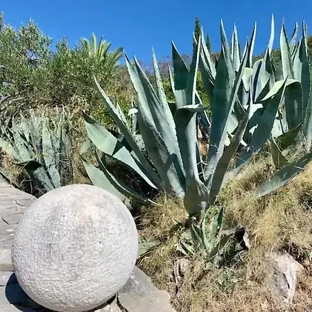 וילה Asteroidea - Tiha Mala סוטיבאן