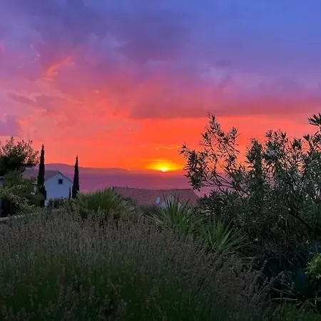 Asteroidea - Tiha Mala סוטיבאן