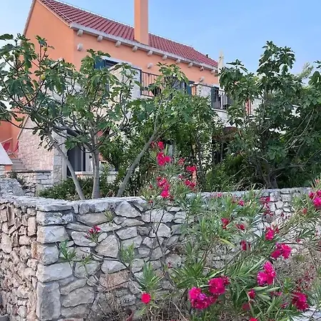 Asteroidea - Tiha Mala * סוטיבאן