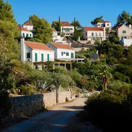 Asteroidea - Tiha Mala סוטיבאן