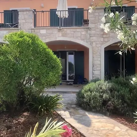 Asteroidea - Tiha Mala