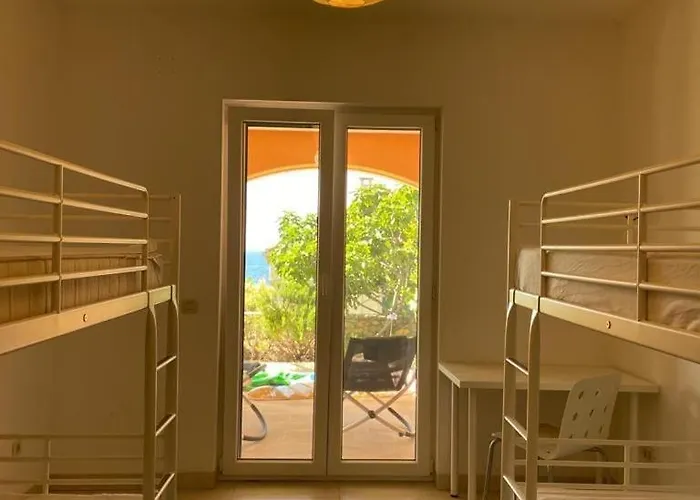 Asteroidea - Tiha Mala *