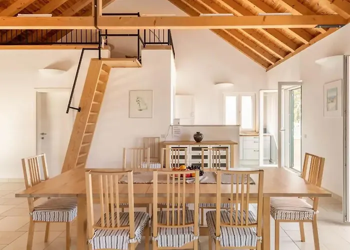 Asteroidea - Tiha Mala 빌라