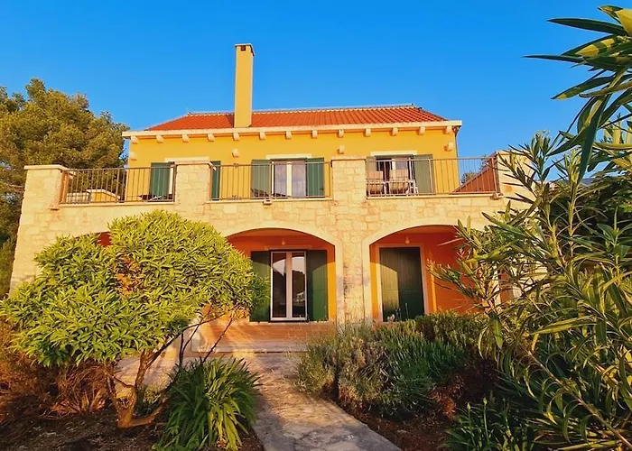 Asteroidea - Tiha Mala * 수티반