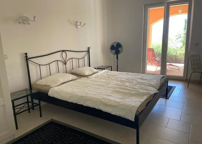 Asteroidea - Tiha Mala * 수티반