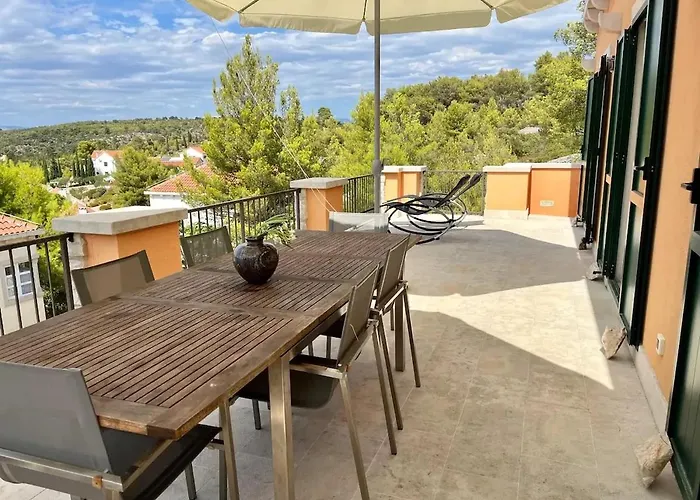 Asteroidea - Tiha Mala 수티반