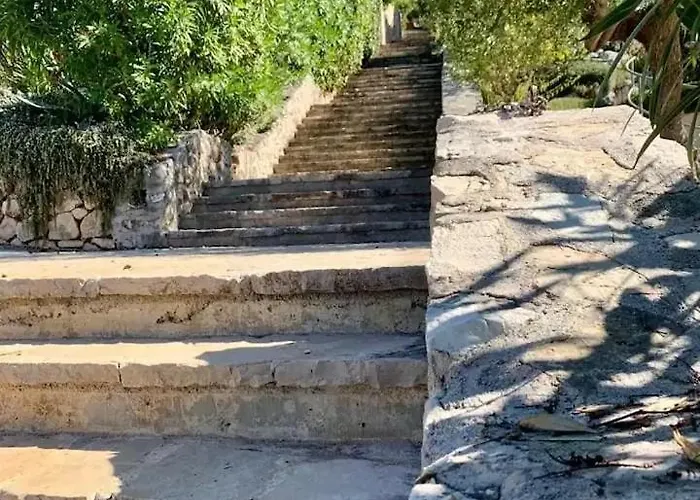 빌라 Asteroidea - Tiha Mala