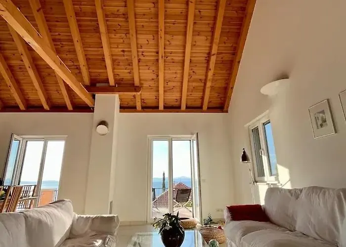 빌라 Asteroidea - Tiha Mala *