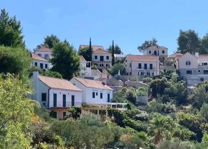 Asteroidea - Tiha Mala 빌라