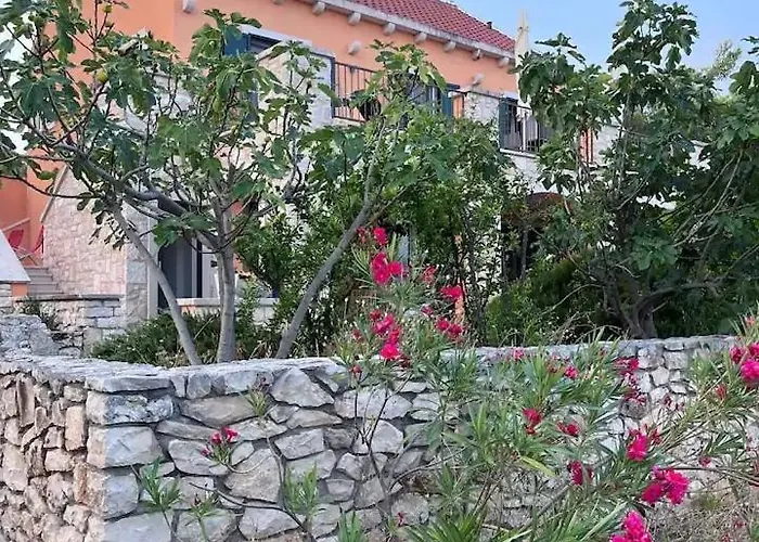 Asteroidea - Tiha Mala * 수티반