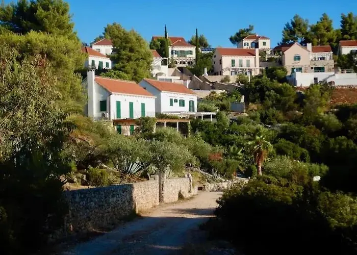 Asteroidea - Tiha Mala 수티반