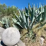 Villa Asteroidea - Tiha Mala Sutivan